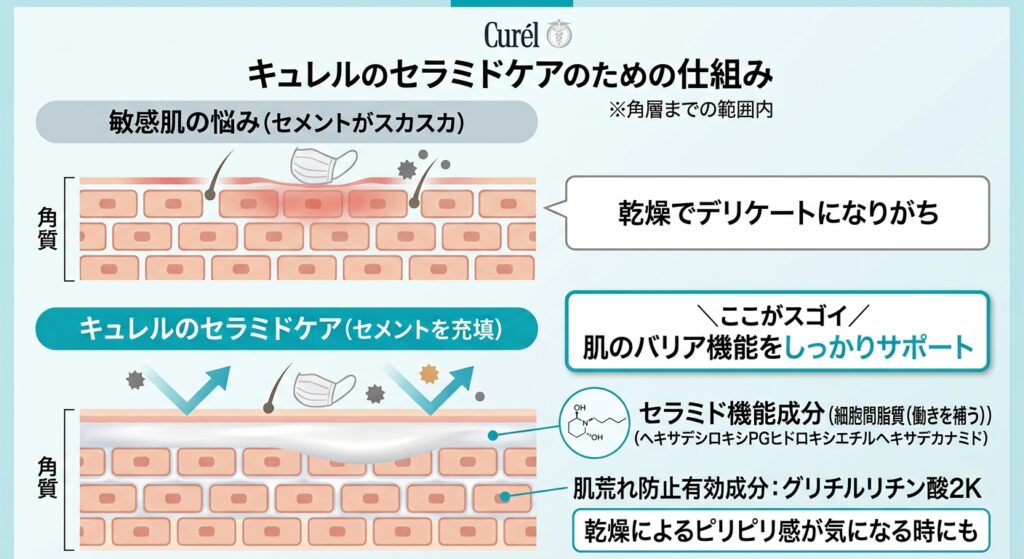 キュレルのセラミド機能成分が角層バリア機能をサポートする仕組み図解